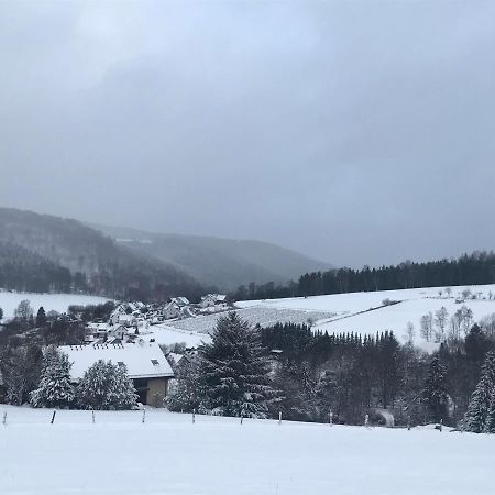 Appartement Familie Willems Winterberg 2 Dış mekan fotoğraf