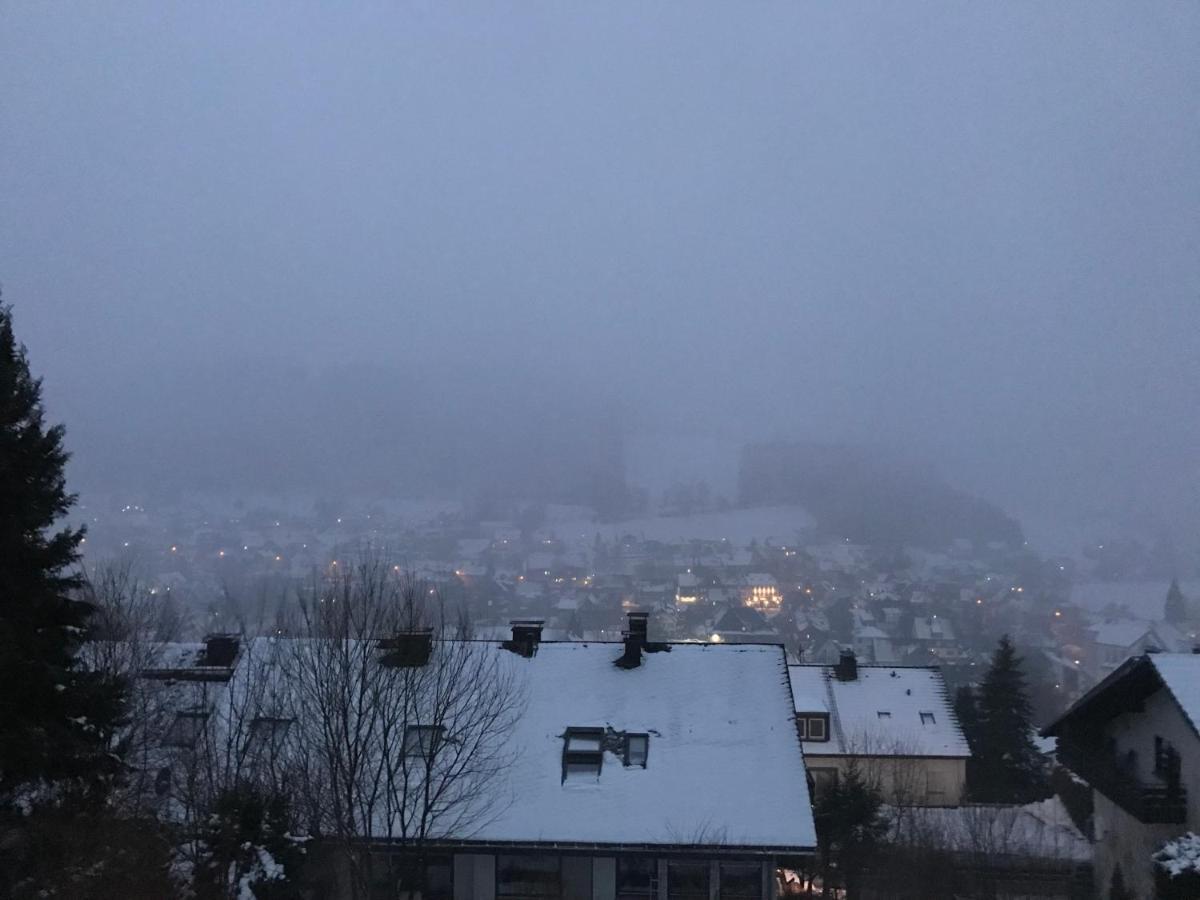 Appartement Familie Willems Winterberg 2 Dış mekan fotoğraf