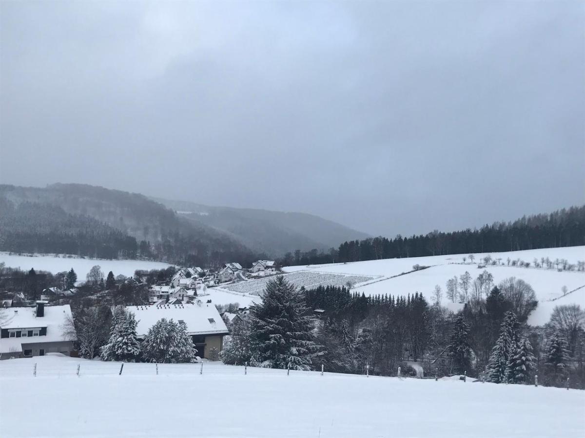 Appartement Familie Willems Winterberg 2 Dış mekan fotoğraf
