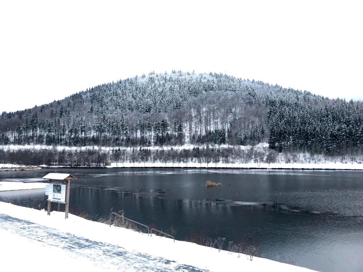 Appartement Familie Willems Winterberg 2 Dış mekan fotoğraf