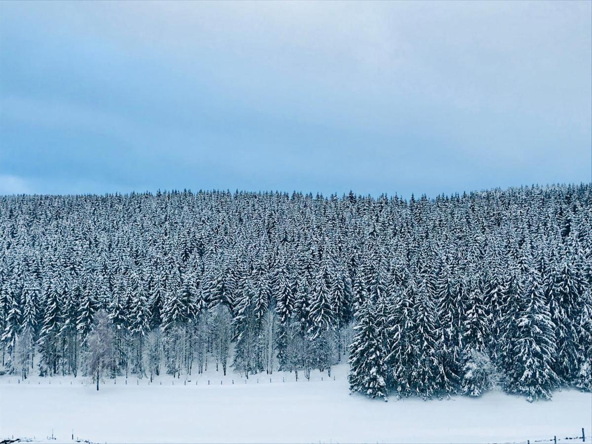 Appartement Familie Willems Winterberg 2 Dış mekan fotoğraf