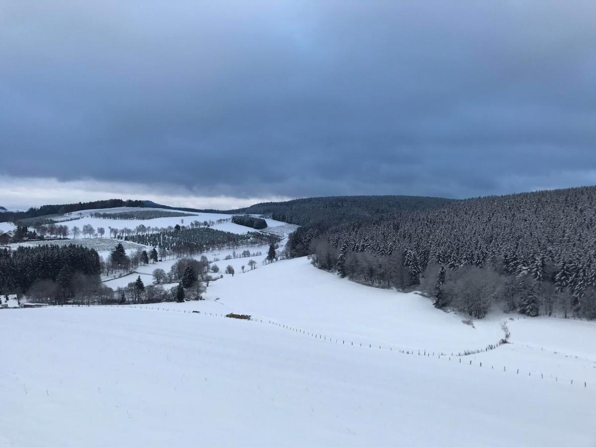 Appartement Familie Willems Winterberg 2 Dış mekan fotoğraf