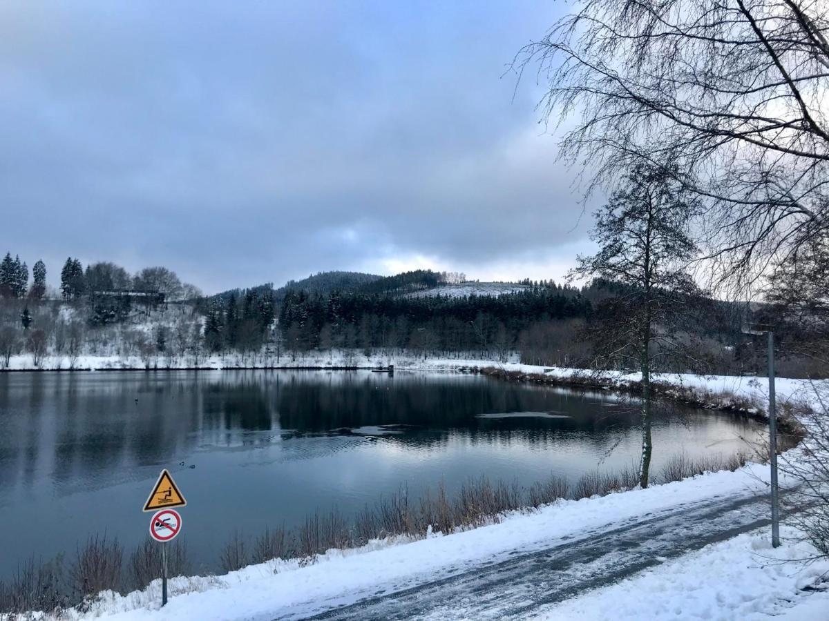 Appartement Familie Willems Winterberg 2 Dış mekan fotoğraf