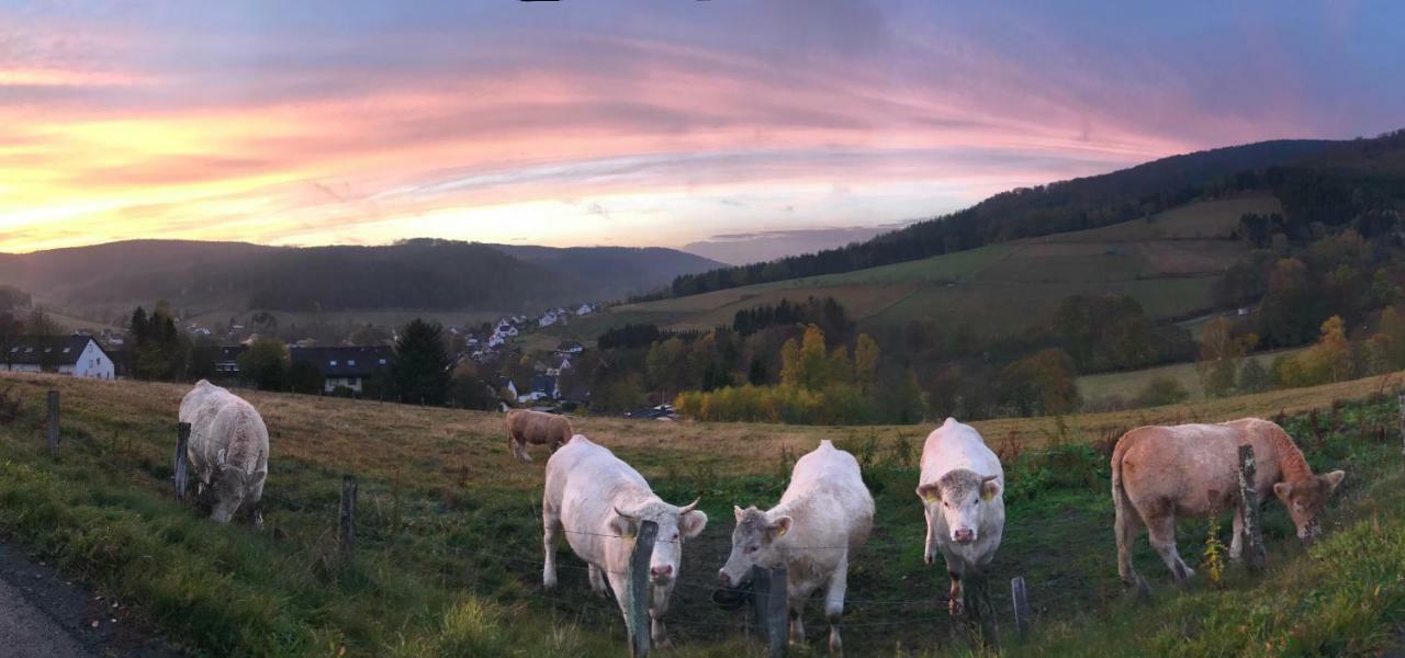 Appartement Familie Willems Winterberg 2 Dış mekan fotoğraf
